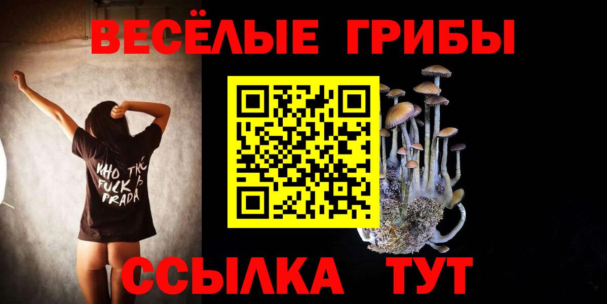Псилоцибиновые грибы Psilocybe  Вход с VPN  Псилоцибиновые грибы Psilocybine cubensis  где купить наркоту  Черногорск 