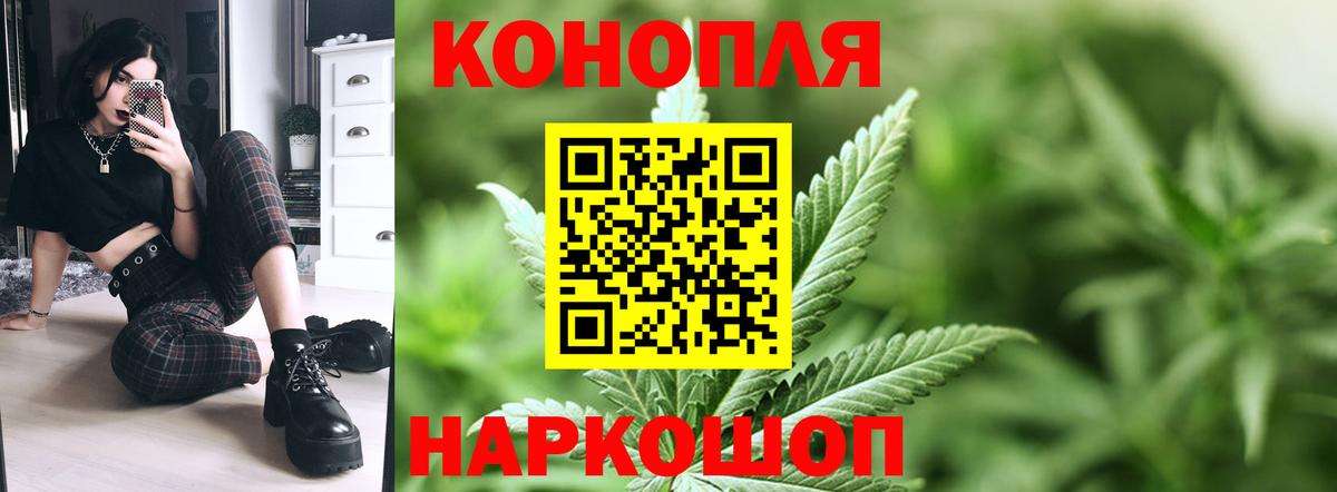 Бошки марихуана сатива Черногорск